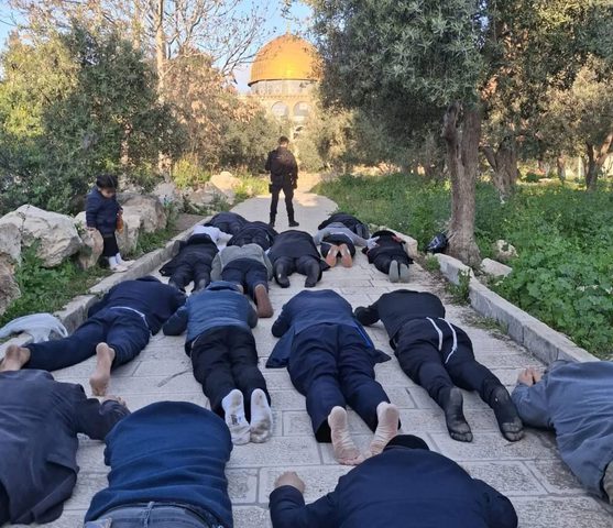 مستوطنون يقتحمون الأقصى ويؤدّون "السجود الملحمي" بحماية الاحتلال