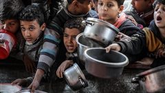 بنك الطعام الفلسطيني: ارتفاع الأسعار ونقص مستلزمات الأطفال يفاقمان معاناة غزة