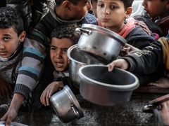 بنك الطعام الفلسطيني: ارتفاع الأسعار ونقص مستلزمات الأطفال يفاقمان معاناة غزة