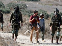 إصابة مواطن ونجله في اعتداء للمستوطنين جنوب الخليل