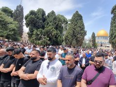 عشرات الآلاف يؤدون صلاة الجمعة في المسجد الأقصى المبارك.