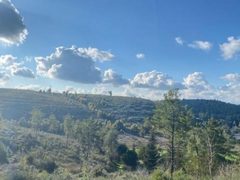 حالة الطقس: أجواء ربيعية معتدلة