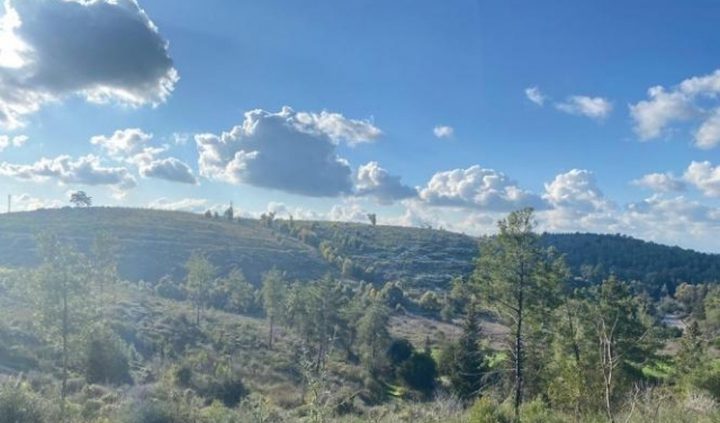 حالة الطقس: أجواء ربيعية معتدلة