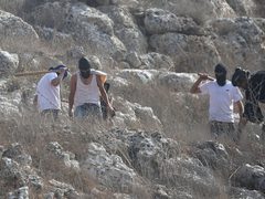 اعتقال مواطن واعتداءات للمستوطنين في مسافر يطا جنوب الخليل