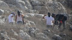 اعتقال مواطن واعتداءات للمستوطنين في مسافر يطا جنوب الخليل
