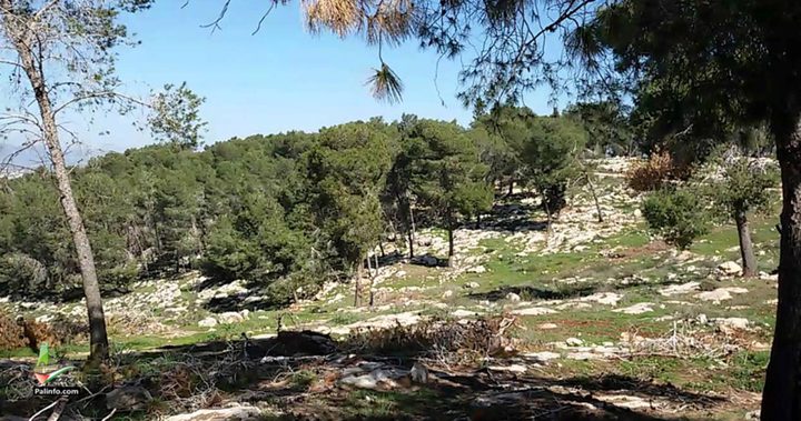 مستوطنون يقتحمون موقع مستوطنة "كاديم" المخلاة في جنين