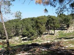 مستوطنون يقتحمون موقع مستوطنة "كاديم" المخلاة في جنين