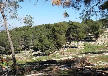 مستوطنون يقتحمون موقع مستوطنة "كاديم" المخلاة في جنين