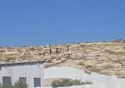 مستوطنون يهاجمون مخماس قرب القدس ويتجمعون على جبل العاصور شرق رام الله