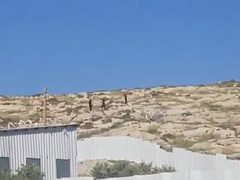 مستوطنون يهاجمون مخماس قرب القدس ويتجمعون على جبل العاصور شرق رام الله
