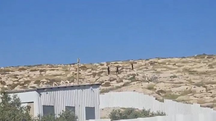 مستوطنون يهاجمون مخماس قرب القدس ويتجمعون على جبل العاصور شرق رام الله