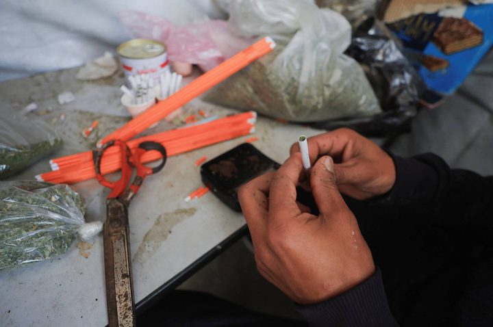 في غزة… الملوخية تتحول إلى بديل للسجائر وسط ارتفاع الأسعار ونقص الإمدادات