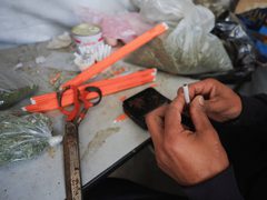 في غزة… الملوخية تتحول إلى بديل للسجائر وسط ارتفاع الأسعار ونقص الإمدادات