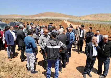 جولة دولية في طوباس والأغوار للاطلاع على انتهاكات تستهدف القطاع الزراعي