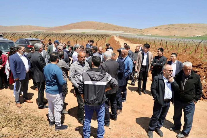 جولة دولية في طوباس والأغوار للاطلاع على انتهاكات تستهدف القطاع الزراعي