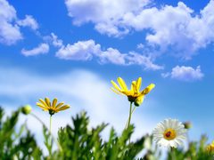 الطقس: أجواء صافية وارتفاع آخر على درجات الحرارة