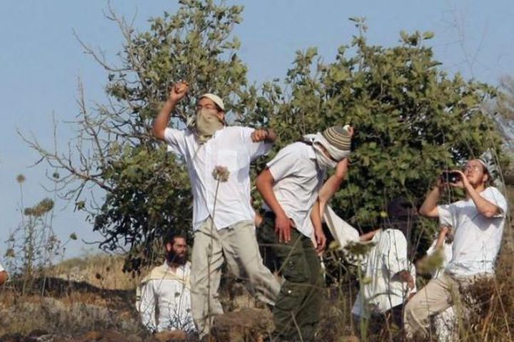 مستوطنون يهاجمون قرية جالود جنوب نابلس