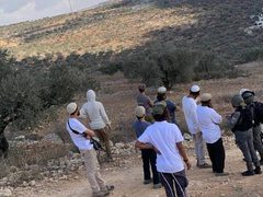 مستوطنون يعتدون على مزارعين ويستولون على مركبة في "البلقا" شمال أريحا