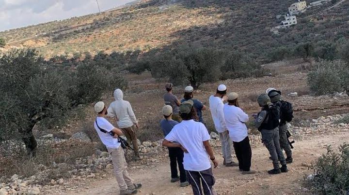 مستوطنون يعتدون على مزارعين ويستولون على مركبة في "البلقا" شمال أريحا