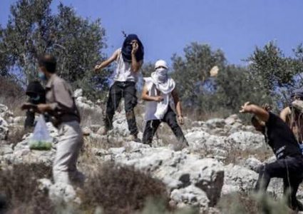 مستوطنون يهاجمون بركسا في بيتا جنوب نابلس