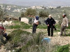 مستعمرون يهاجمون بلدة قصرة