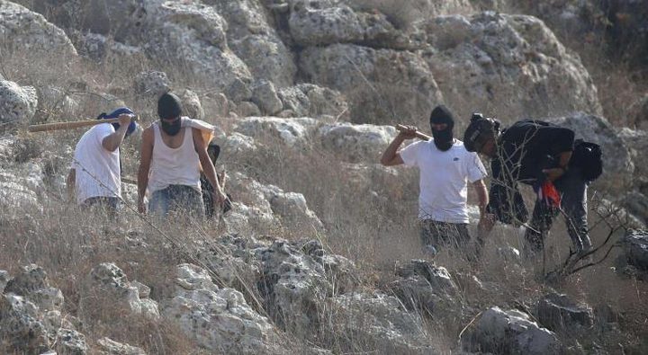 مستوطنون يقتحمون "وادي الحيات" غرب العوجا برفقة إبل