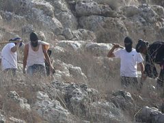 مستوطنون يقتحمون "وادي الحيات" غرب العوجا برفقة إبل