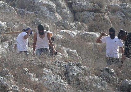 مستوطنون يقتحمون "وادي الحيات" غرب العوجا برفقة إبل