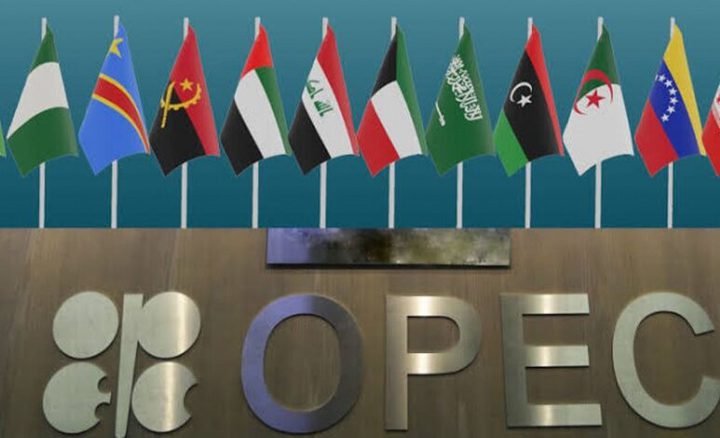 روسيا: انسحاب الإمارات من منظمة أوبك قد يؤدي إلى انخفاض أسعار النفط