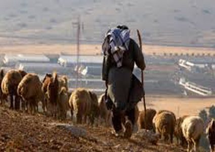مستوطنون يمنعون الأهالي من الوصول الى أراضيهم في مسافر يطا