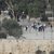 القدس: 8 محاولات لإدخال القرابين إلى المسجد الأقصى ودعوات لشد الرحال