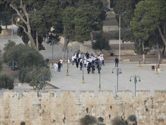 القدس: 8 محاولات لإدخال القرابين إلى المسجد الأقصى ودعوات لشد الرحال