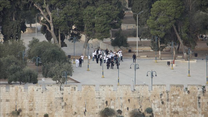 القدس: 8 محاولات لإدخال القرابين إلى المسجد الأقصى ودعوات لشد الرحال