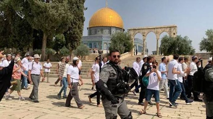 مستوطنون يحاولون اقتحام الأقصى عبر باب حطة بقربان حي