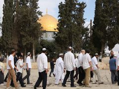 مستوطنون بقيادة المتطرف "غليك" يقتحمون الأقصى
