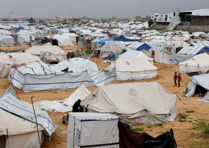 الأونروا: الجرذان تعض أطفال غزة داخل الخيام وتحذيرات من تفشي الأمراض