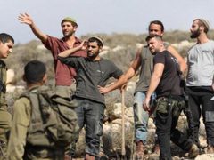 مستوطنون يعتدون بالضرب على مزارع جنوب الخليل
