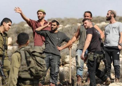 مستوطنون يعتدون بالضرب على مزارع جنوب الخليل