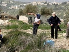 مستوطنون يمنعون مزارعين من حراثة أراضيهم في بيت إكسا