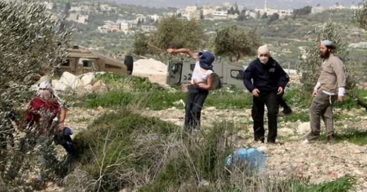 مستوطنون يمنعون مزارعين من حراثة أراضيهم في بيت إكسا