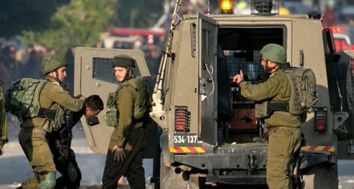 الاحتلال يعتقل 13 مواطناً في الضفة الغربية