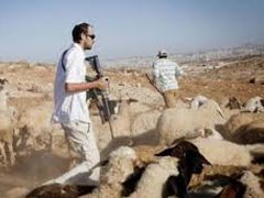 مستوطنون مسلحون يهاجمون سنجل وجلجليا ويسرقون أغناما