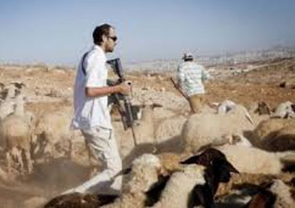 مستوطنون مسلحون يهاجمون سنجل وجلجليا ويسرقون أغناما