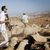 مستوطنون مسلحون يهاجمون سنجل وجلجليا ويسرقون أغناما