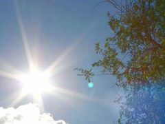 حالة الطقس: أجواء حارة وجافة ومغبرة في معظم المناطق