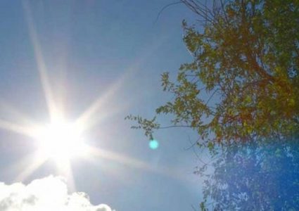 حالة الطقس: أجواء حارة وجافة ومغبرة في معظم المناطق