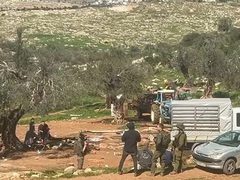 مستوطنون يهاجمون بيت إكسا شمال غرب القدس ويعتدون على المواطنين