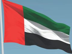 الإمارات تدين استهداف سفينة هندية قبالة سواحل عُمان