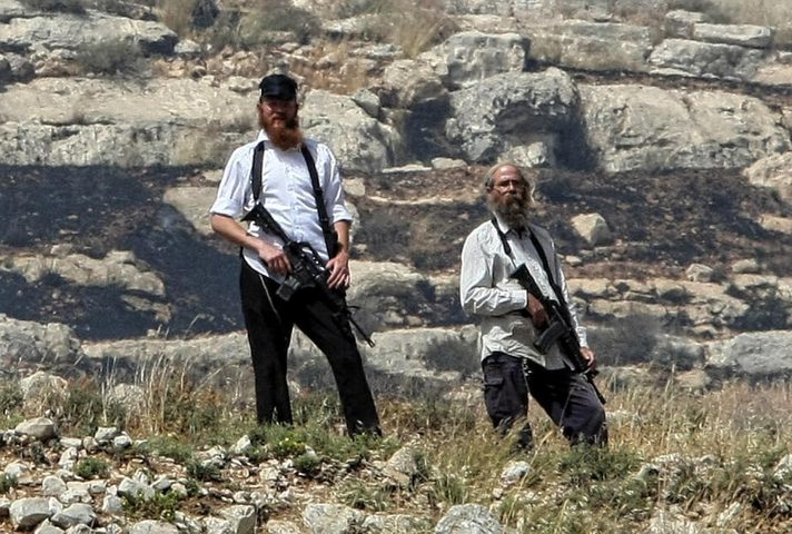 مستوطنون يقتحمون أراضي المواطنين برفقة أبقارهم في قرية رابا شرق جنين
