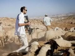 مستوطنون يهاجمون رعاة أغنام قرب بيت عنان ويحاولون سرقة أغنامهم شمال غرب القدس
